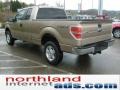 2011 Pale Adobe Metallic Ford F150 XLT SuperCab 4x4  photo #5