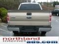 2011 Pale Adobe Metallic Ford F150 XLT SuperCab 4x4  photo #6