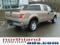 2011 Pale Adobe Metallic Ford F150 XLT SuperCab 4x4  photo #7