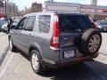Pewter Pearl - CR-V Special Edition 4WD Photo No. 4