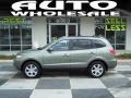 Natural Khaki 2009 Hyundai Santa Fe SE