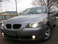 2004 Silver Grey Metallic BMW 5 Series 525i Sedan  photo #12