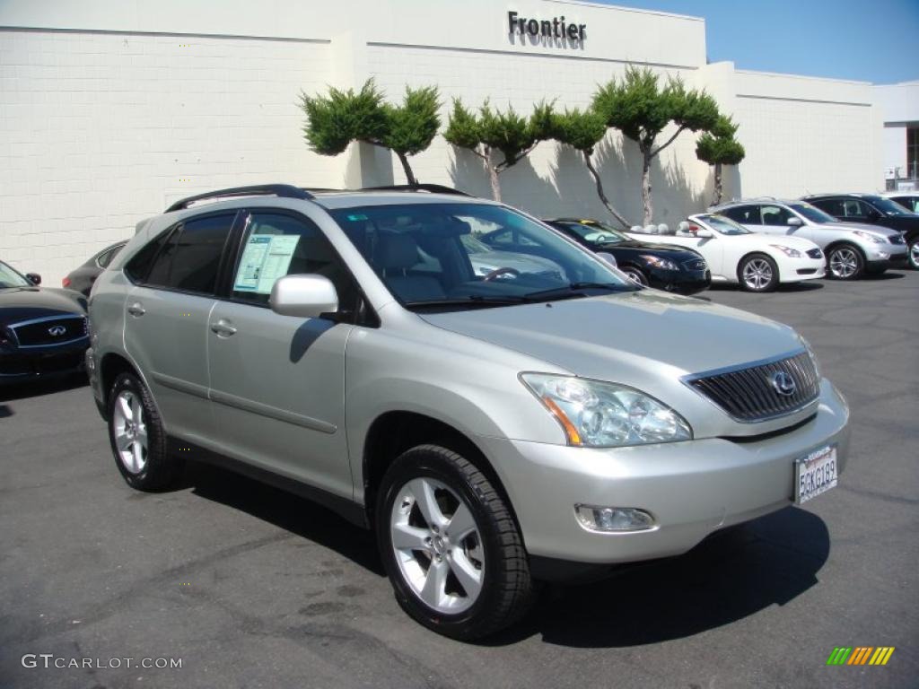 2004 RX 330 - Millinnium Silver Metallic / Ivory photo #3