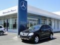 Black - ML 350 4Matic Photo No. 2
