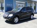 Black - ML 350 4Matic Photo No. 13