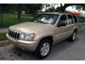 Champagne Pearl 2001 Jeep Grand Cherokee Limited 4x4