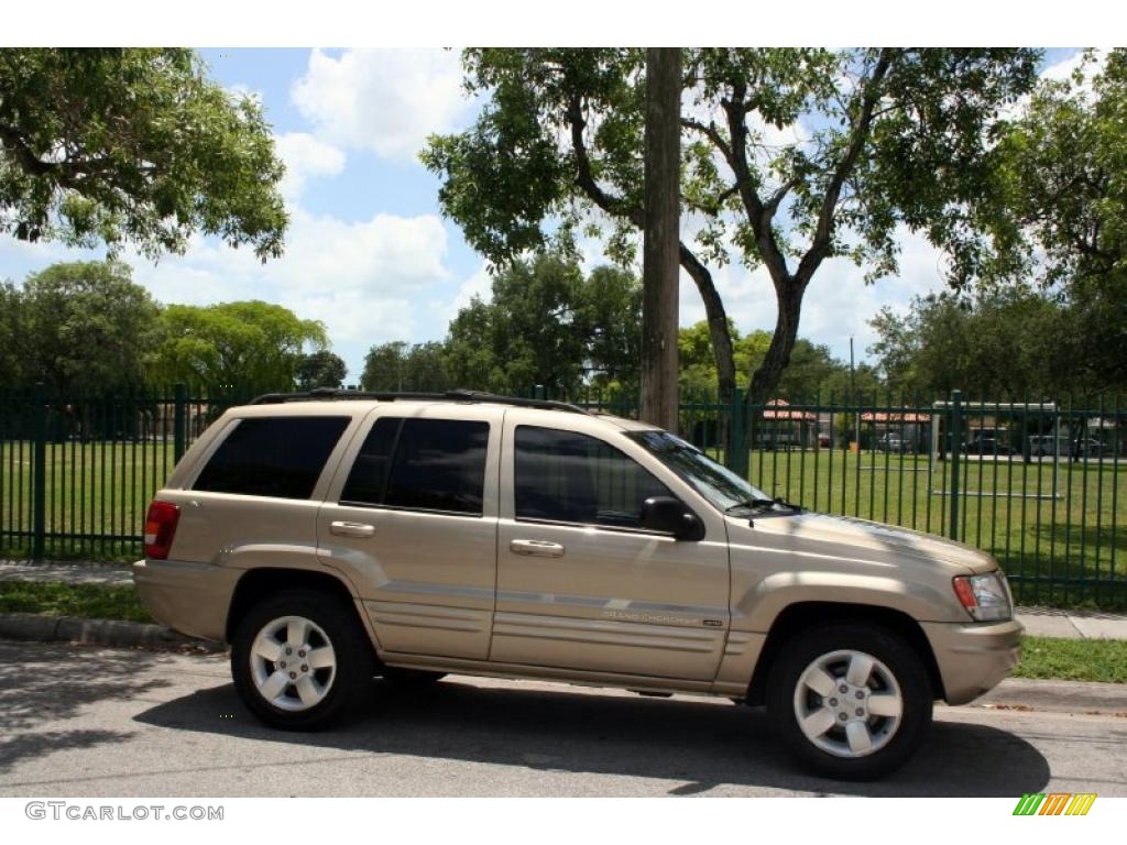2001 Grand Cherokee Limited 4x4 - Champagne Pearl / Taupe photo #12