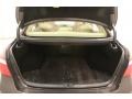 Cashmere Beige Trunk Photo for 2009 Lexus LS #48374267