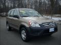 2005 Sahara Sand Metallic Honda CR-V LX 4WD  photo #1