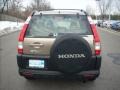 2005 Sahara Sand Metallic Honda CR-V LX 4WD  photo #4