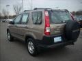 2005 Sahara Sand Metallic Honda CR-V LX 4WD  photo #5