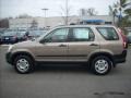 2005 Sahara Sand Metallic Honda CR-V LX 4WD  photo #6