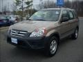 2005 Sahara Sand Metallic Honda CR-V LX 4WD  photo #7