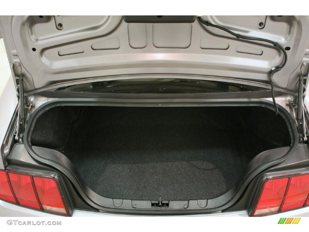 2006 Ford Mustang GT Premium Coupe Trunk Photo #48379127