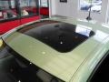 2006 Gecko Green Metallic Volkswagen New Beetle 2.5 Coupe  photo #10