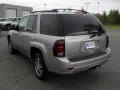 Silverstone Metallic - TrailBlazer LT Photo No. 2