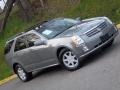 2004 Silver Smoke Metallic Cadillac SRX V6  photo #32