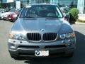 Stratus Grey Metallic - X5 3.0i Photo No. 2
