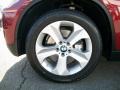 2010 BMW X6 xDrive35i Wheel and Tire Photo