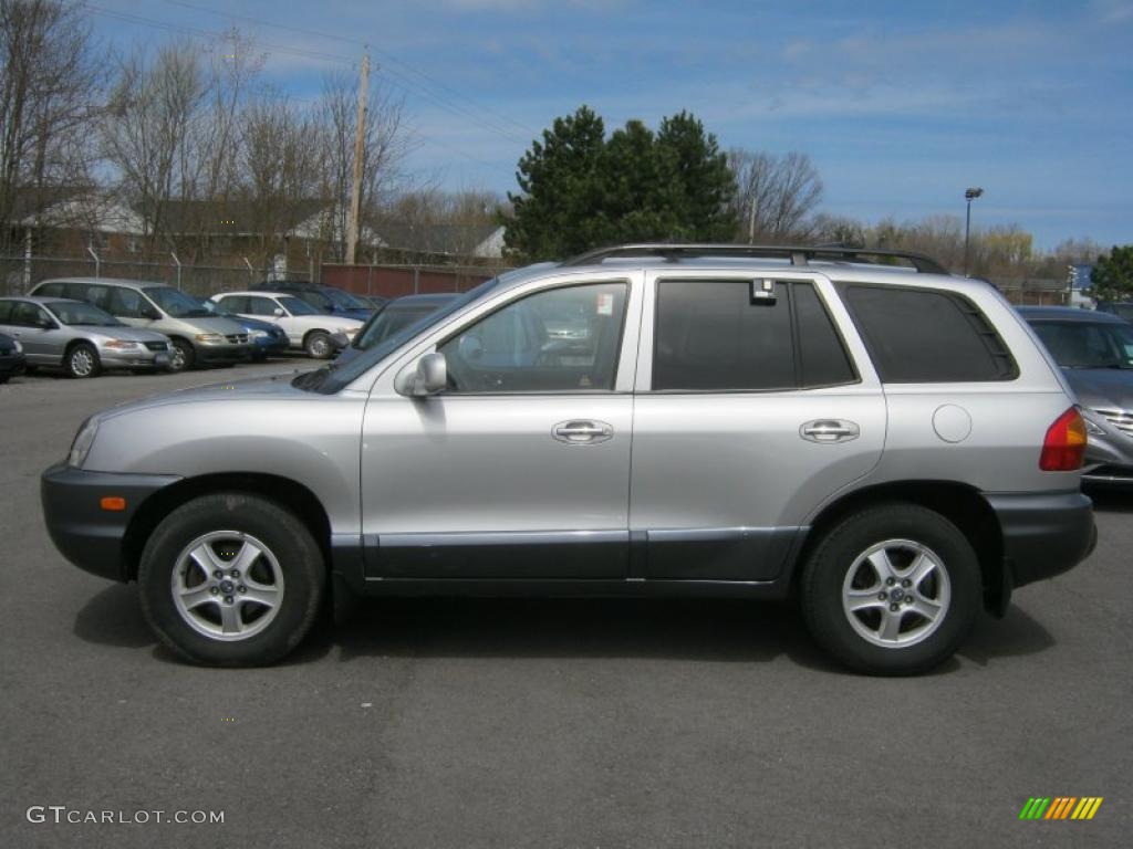 Pewter 2003 Hyundai Santa Fe GLS 4WD Exterior Photo #48399300