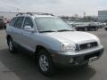 2003 Pewter Hyundai Santa Fe GLS 4WD  photo #16