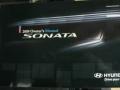 Willow Gray - Sonata GLS Photo No. 20