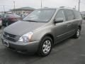 2010 Titanium Silver Kia Sedona LX  photo #1