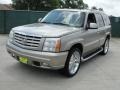 Silver Sand - Escalade AWD Photo No. 7