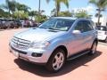 Alpine Rain Metallic - ML 350 4Matic Photo No. 1