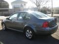 2003 Platinum Grey Metallic Volkswagen Jetta GLS Sedan  photo #30