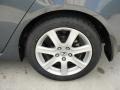 Carbon Gray Pearl - TSX Sedan Photo No. 13