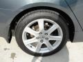 Carbon Gray Pearl - TSX Sedan Photo No. 14