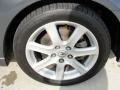 Carbon Gray Pearl - TSX Sedan Photo No. 15