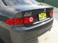 Carbon Gray Pearl - TSX Sedan Photo No. 21