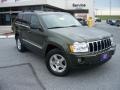 2007 Jeep Green Metallic Jeep Grand Cherokee Limited 4x4  photo #37