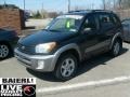 2003 Black Toyota RAV4 4WD  photo #3