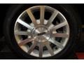 Silver Birch Metallic - Town Car Signature Photo No. 19