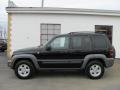 Black - Liberty Sport 4x4 Photo No. 5