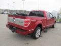 2010 Royal Red Metallic Ford F150 Platinum SuperCrew 4x4  photo #10