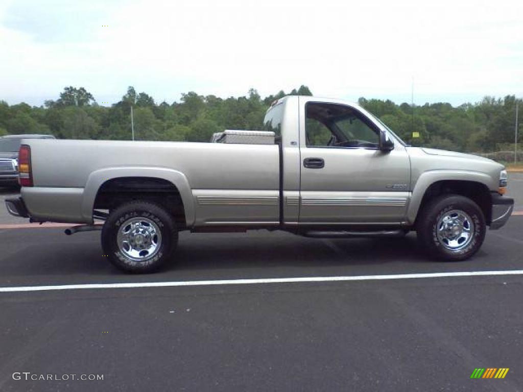 Light Pewter Metallic 2001 Chevrolet Silverado 2500HD LS Regular Cab Exterior Photo #48418606