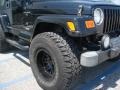 2001 Black Jeep Wrangler Sport 4x4  photo #7