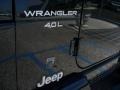 2001 Black Jeep Wrangler Sport 4x4  photo #21