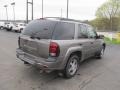 2007 Graystone Metallic Chevrolet TrailBlazer LS 4x4  photo #7