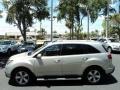 Palladium Metallic 2010 Acura MDX Technology Exterior