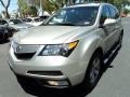 Palladium Metallic 2010 Acura MDX Technology Exterior