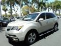 Palladium Metallic 2010 Acura MDX Technology Exterior