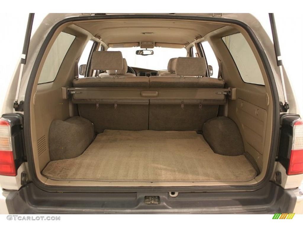 1999 4Runner SR5 - Desert Dune Metallic / Oak photo #17