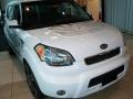 2011 Clear White/Grey Graphics Kia Soul White Tiger Special Edition  photo #3