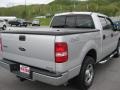 2004 Silver Metallic Ford F150 XLT SuperCrew 4x4  photo #6