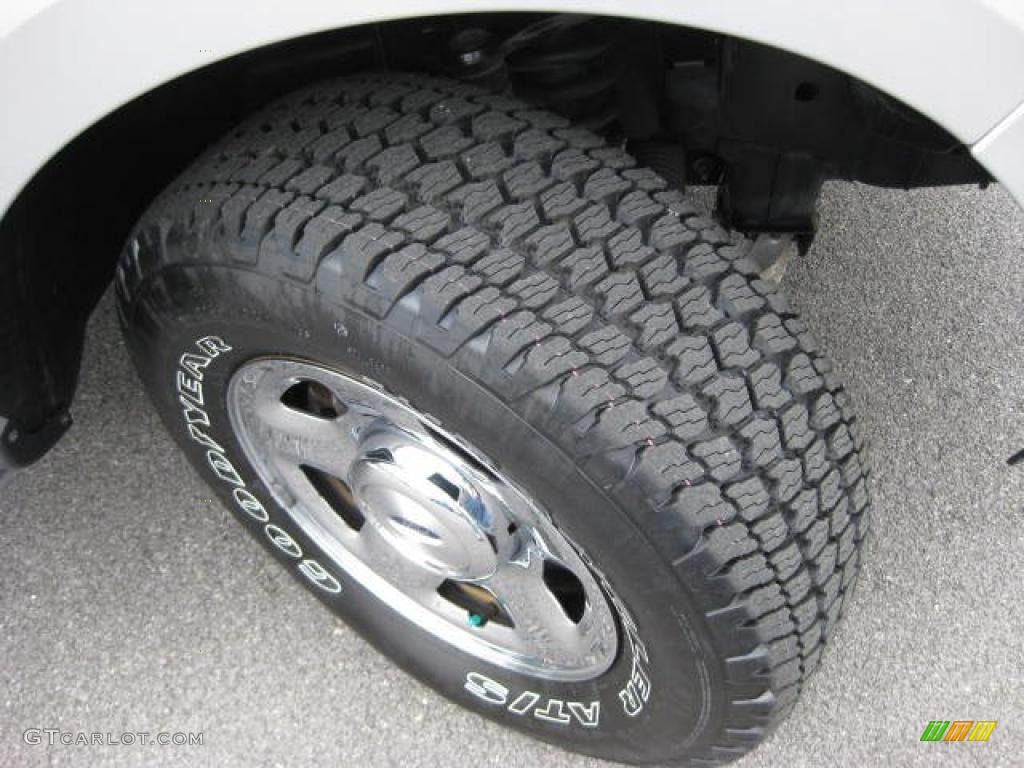 2004 F150 XLT SuperCrew 4x4 - Silver Metallic / Medium/Dark Flint photo #10